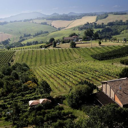 La Ca Dal Non Bioagriturismo - Alpenice Savignano sul Panaro Екстериор снимка