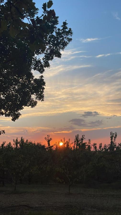 La Ca Dal Non Bioagriturismo - Alpenice Savignano sul Panaro Екстериор снимка