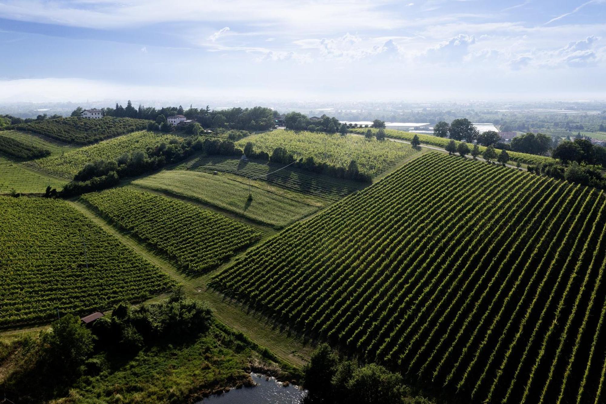 La Ca Dal Non Bioagriturismo - Alpenice Savignano sul Panaro Екстериор снимка