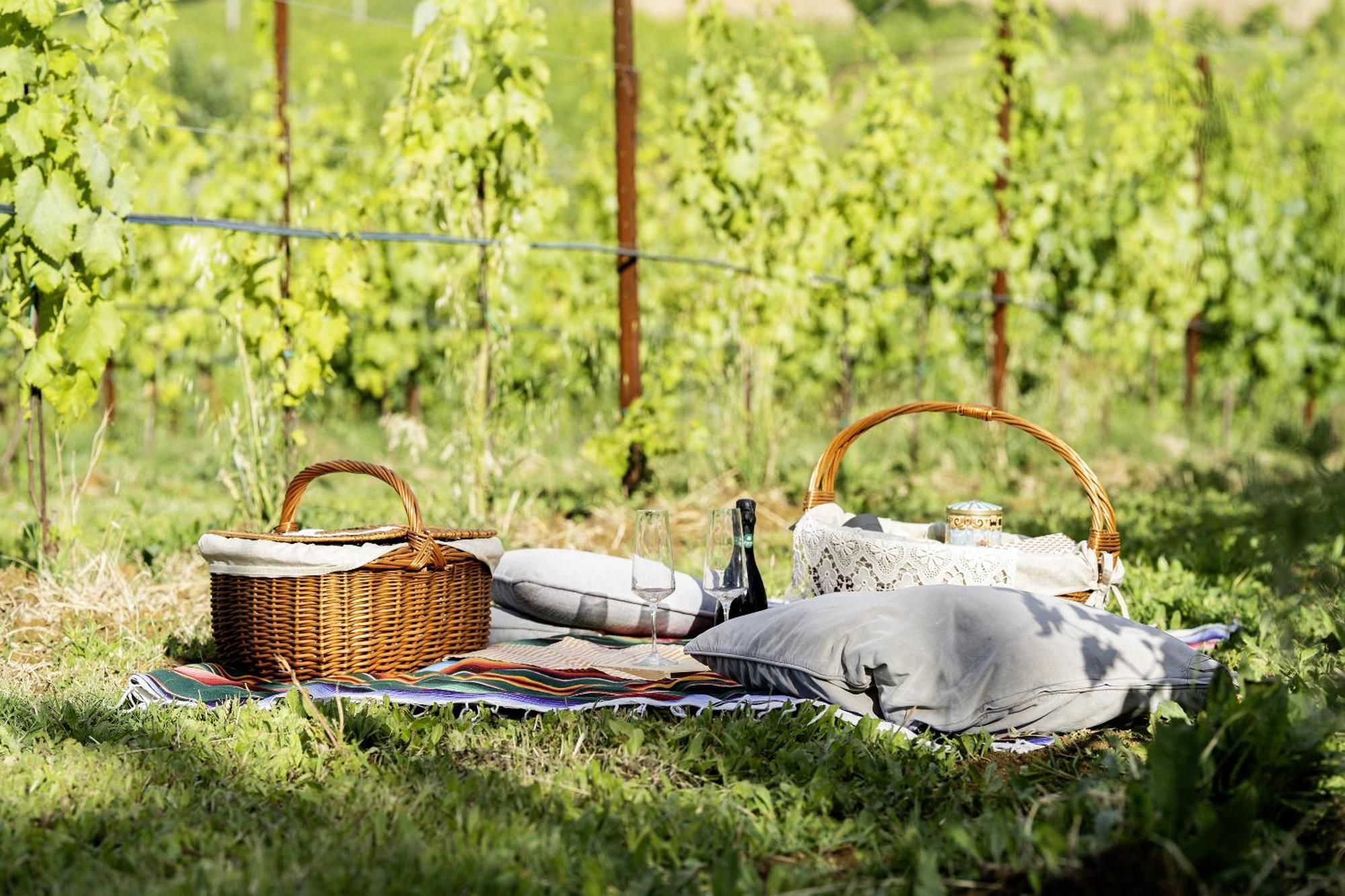 La Ca Dal Non Bioagriturismo - Alpenice Savignano sul Panaro Екстериор снимка