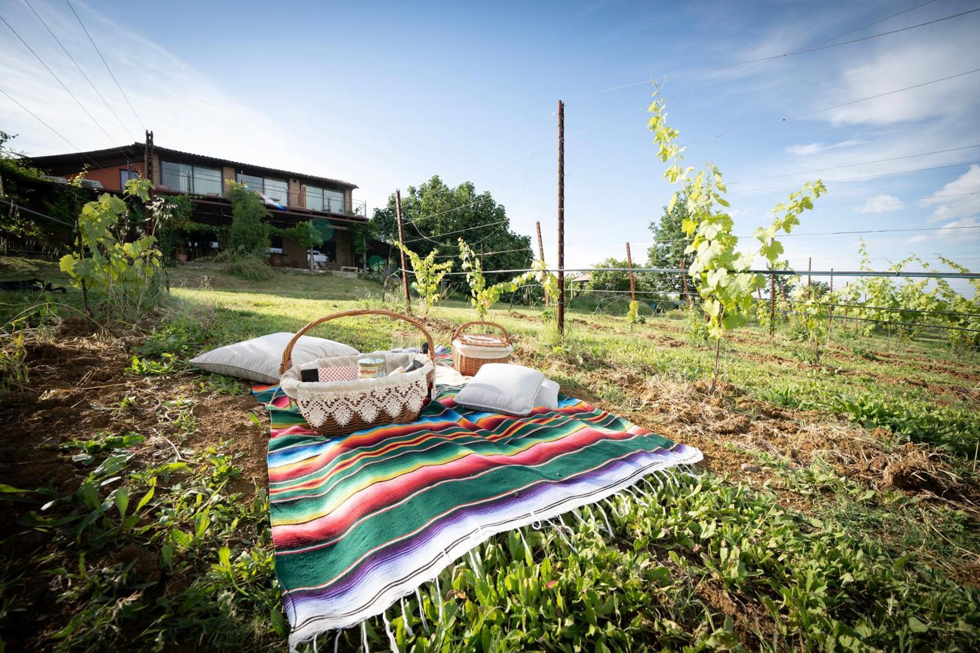 La Ca Dal Non Bioagriturismo - Alpenice Savignano sul Panaro Екстериор снимка