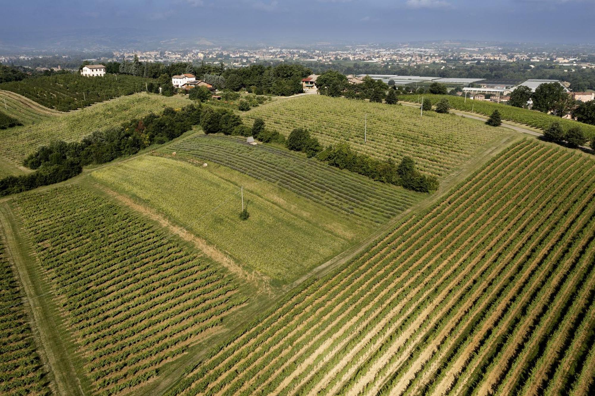 La Ca Dal Non Bioagriturismo - Alpenice Savignano sul Panaro Екстериор снимка