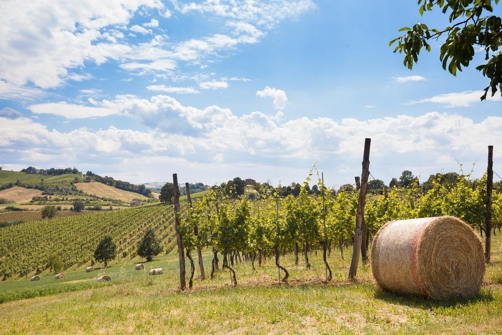 La Ca Dal Non Bioagriturismo - Alpenice Savignano sul Panaro Екстериор снимка