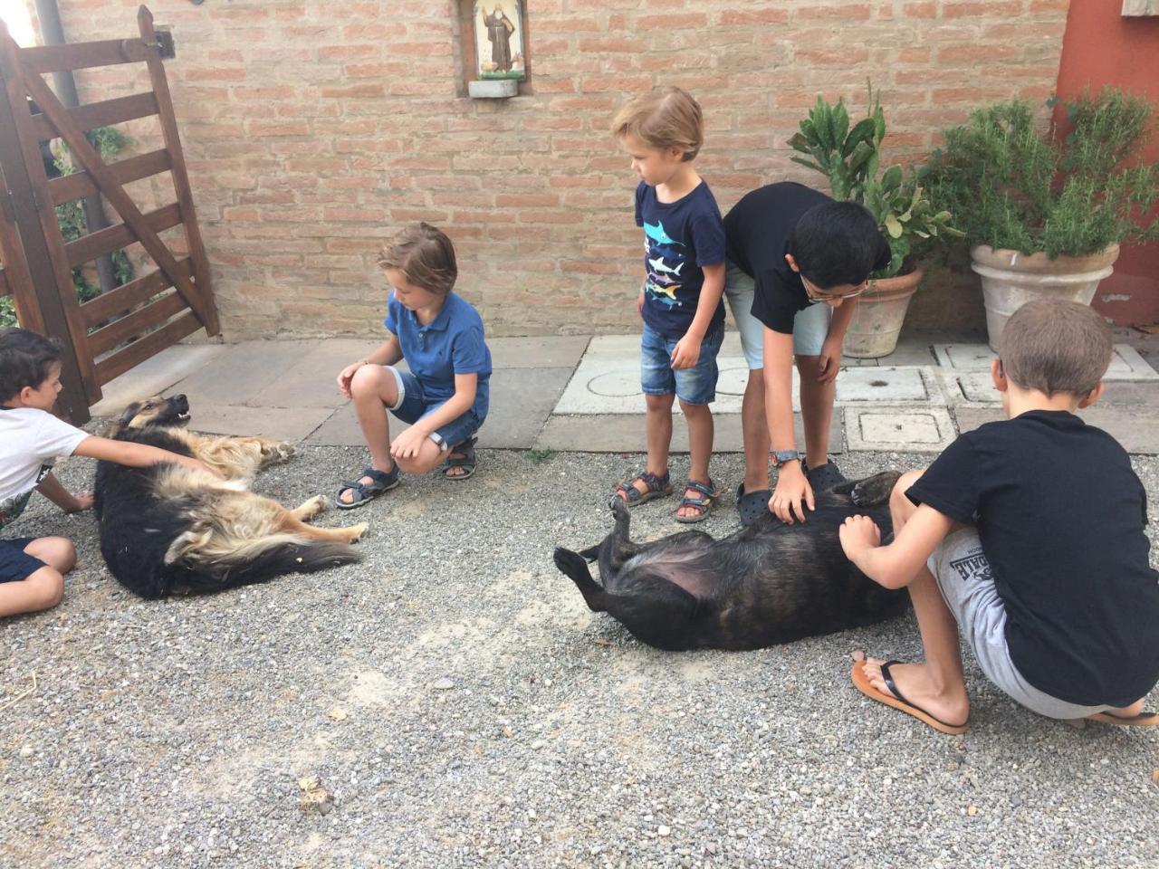 La Ca Dal Non Bioagriturismo - Alpenice Savignano sul Panaro Екстериор снимка